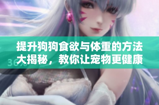提升狗狗食欲与体重的方法大揭秘，教你让宠物更健康