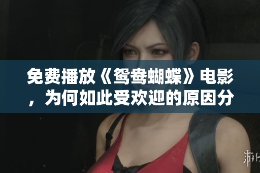 免费播放《鸳鸯蝴蝶》电影，为何如此受欢迎的原因分析