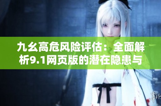 九幺高危风险评估：全面解析9.1网页版的潜在隐患与对策