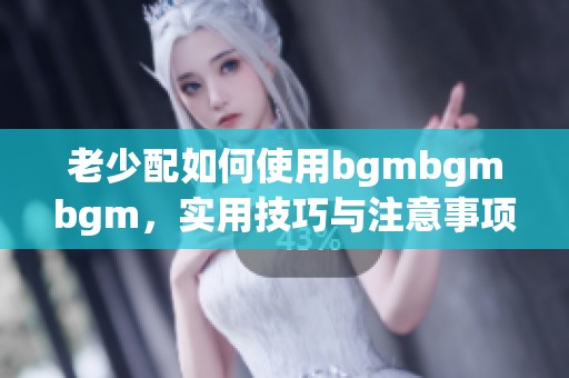 老少配如何使用bgmbgmbgm，实用技巧与注意事项分享