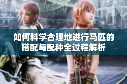 如何科学合理地进行马匹的搭配与配种全过程解析