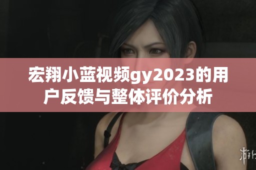 宏翔小蓝视频gy2023的用户反馈与整体评价分析