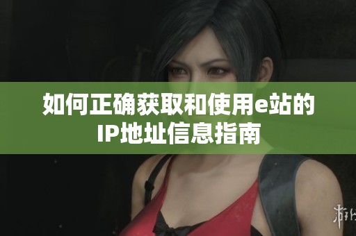 如何正确获取和使用e站的IP地址信息指南