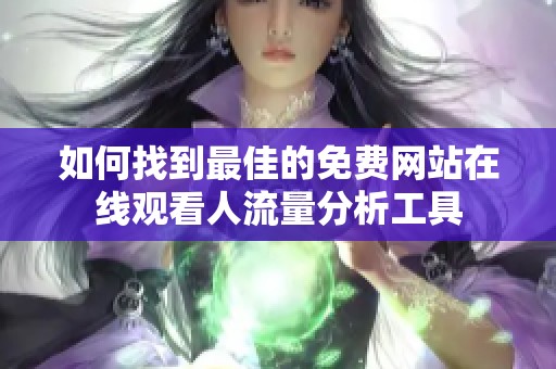 如何找到最佳的免费网站在线观看人流量分析工具