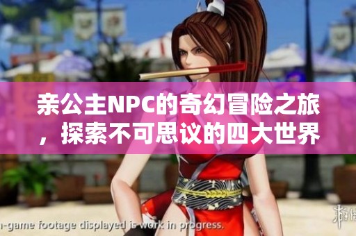 亲公主NPC的奇幻冒险之旅，探索不可思议的四大世界