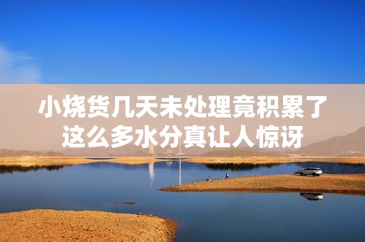小烧货几天未处理竟积累了这么多水分真让人惊讶