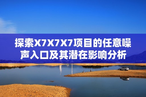 探索X7X7X7项目的任意噪声入口及其潜在影响分析