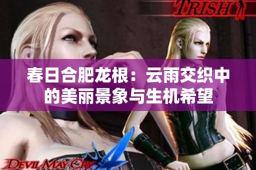 春日合肥龙根：云雨交织中的美丽景象与生机希望