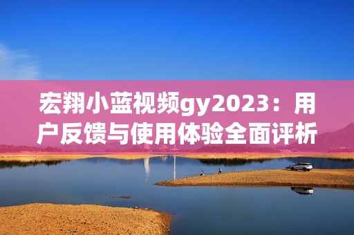 宏翔小蓝视频gy2023：用户反馈与使用体验全面评析