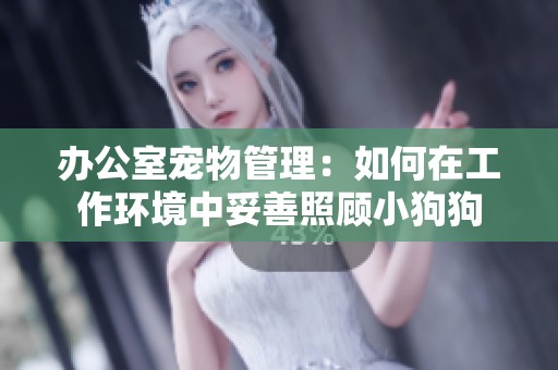 办公室宠物管理：如何在工作环境中妥善照顾小狗狗