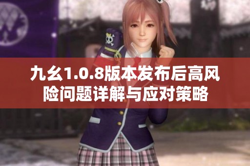 九幺1.0.8版本发布后高风险问题详解与应对策略
