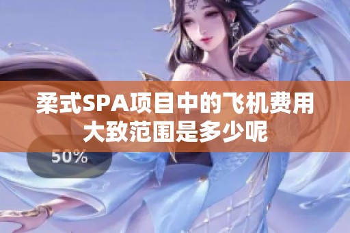 柔式SPA项目中的飞机费用大致范围是多少呢