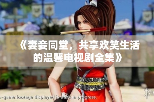 《妻妾同堂，共享欢笑生活的温馨电视剧全集》