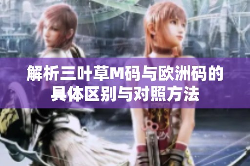 解析三叶草M码与欧洲码的具体区别与对照方法