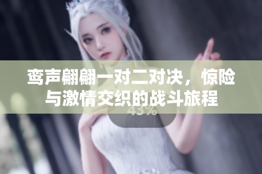 鸾声翩翩一对二对决，惊险与激情交织的战斗旅程