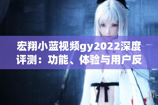 宏翔小蓝视频gy2022深度评测：功能、体验与用户反馈全解析