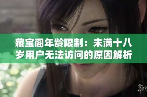 藏宝阁年龄限制：未满十八岁用户无法访问的原因解析