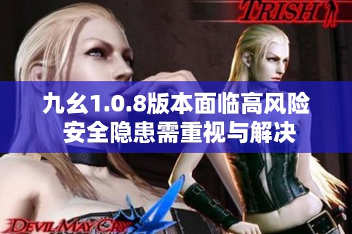九幺1.0.8版本面临高风险 安全隐患需重视与解决