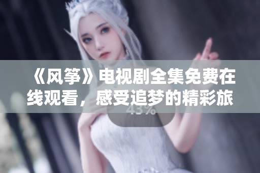 《风筝》电视剧全集免费在线观看，感受追梦的精彩旅程