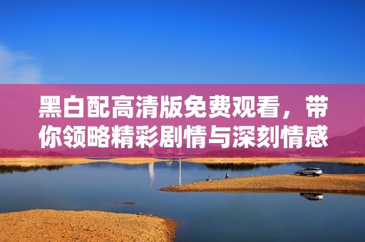 黑白配高清版免费观看，带你领略精彩剧情与深刻情感