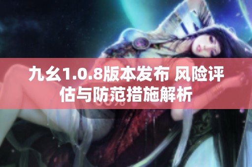 九幺1.0.8版本发布 风险评估与防范措施解析