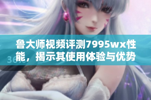 鲁大师视频评测7995wx性能，揭示其使用体验与优势