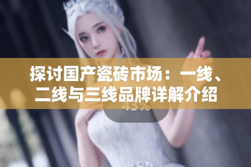 探讨国产瓷砖市场：一线、二线与三线品牌详解介绍