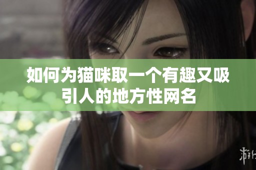 如何为猫咪取一个有趣又吸引人的地方性网名