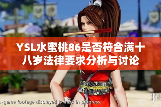 YSL水蜜桃86是否符合满十八岁法律要求分析与讨论