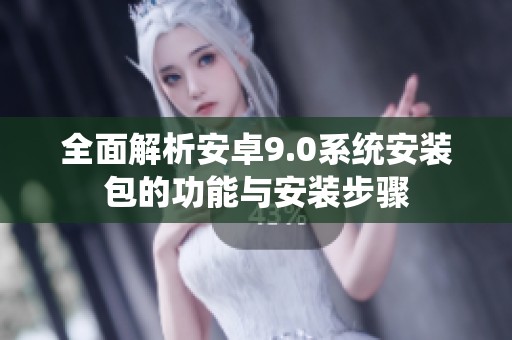 全面解析安卓9.0系统安装包的功能与安装步骤