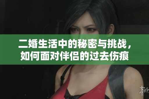 二婚生活中的秘密与挑战，如何面对伴侣的过去伤痕
