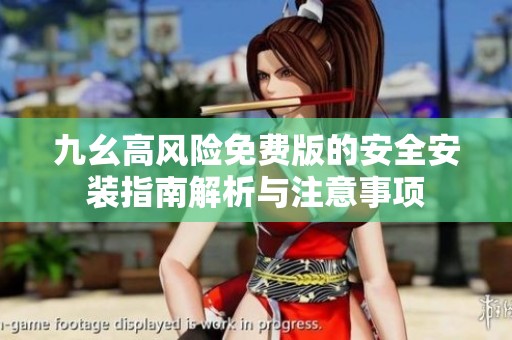 九幺高风险免费版的安全安装指南解析与注意事项