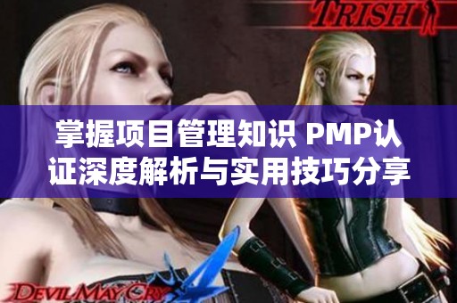 掌握项目管理知识 PMP认证深度解析与实用技巧分享