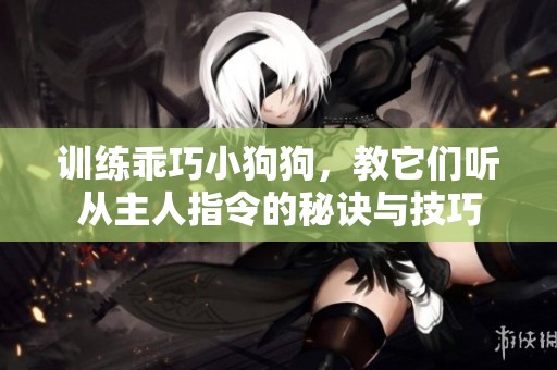训练乖巧小狗狗，教它们听从主人指令的秘诀与技巧