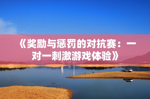 《奖励与惩罚的对抗赛：一对一刺激游戏体验》