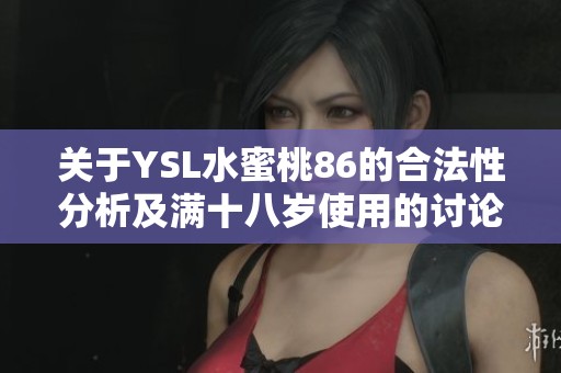 关于YSL水蜜桃86的合法性分析及满十八岁使用的讨论