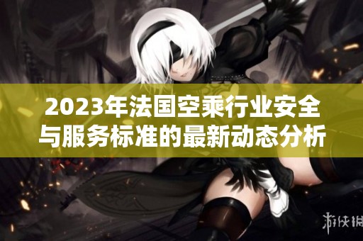 2023年法国空乘行业安全与服务标准的最新动态分析