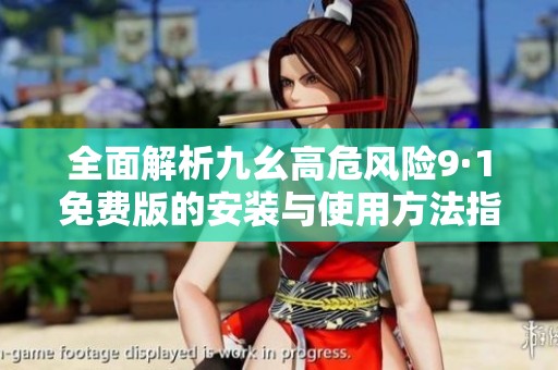 全面解析九幺高危风险9·1免费版的安装与使用方法指南