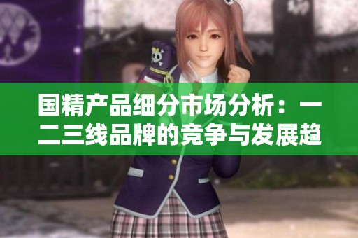 国精产品细分市场分析：一二三线品牌的竞争与发展趋势