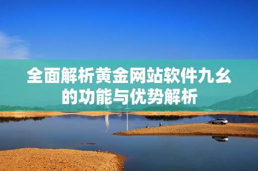 全面解析黄金网站软件九幺的功能与优势解析