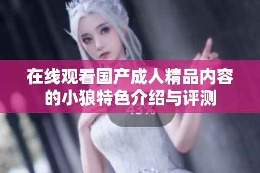 在线观看国产成人精品内容的小狼特色介绍与评测