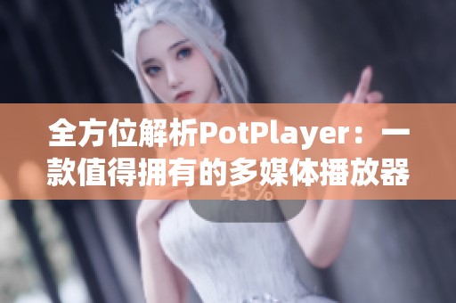 全方位解析PotPlayer：一款值得拥有的多媒体播放器