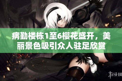 病勤楼栋1至6樱花盛开，美丽景色吸引众人驻足欣赏