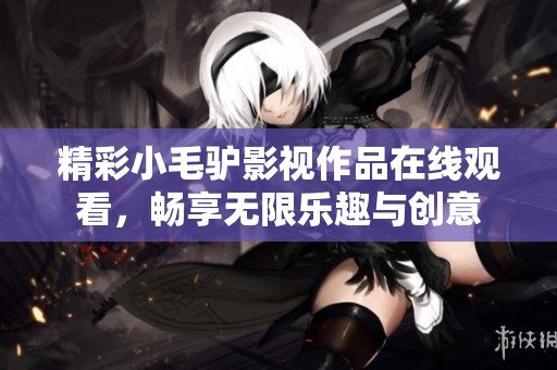 精彩小毛驴影视作品在线观看，畅享无限乐趣与创意