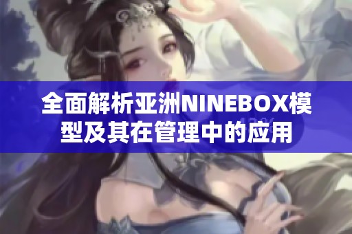 全面解析亚洲NINEBOX模型及其在管理中的应用