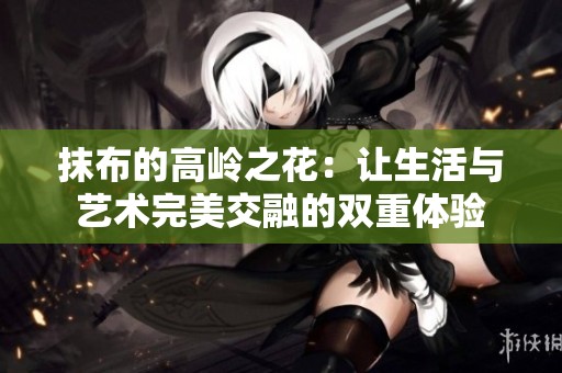 抹布的高岭之花：让生活与艺术完美交融的双重体验