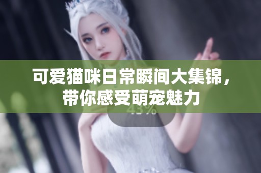 可爱猫咪日常瞬间大集锦，带你感受萌宠魅力