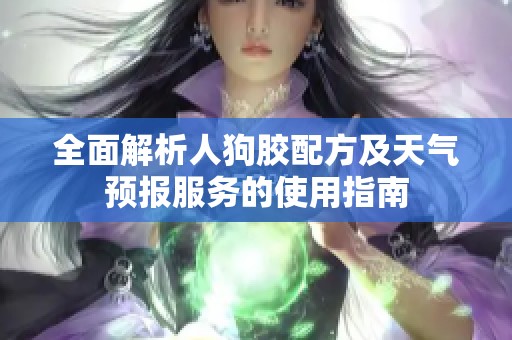 全面解析人狗胶配方及天气预报服务的使用指南