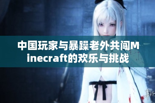 中国玩家与暴躁老外共闯Minecraft的欢乐与挑战
