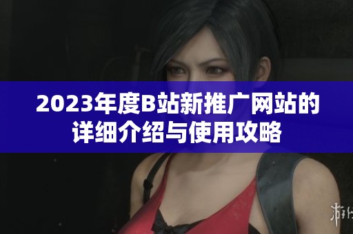 2023年度B站新推广网站的详细介绍与使用攻略